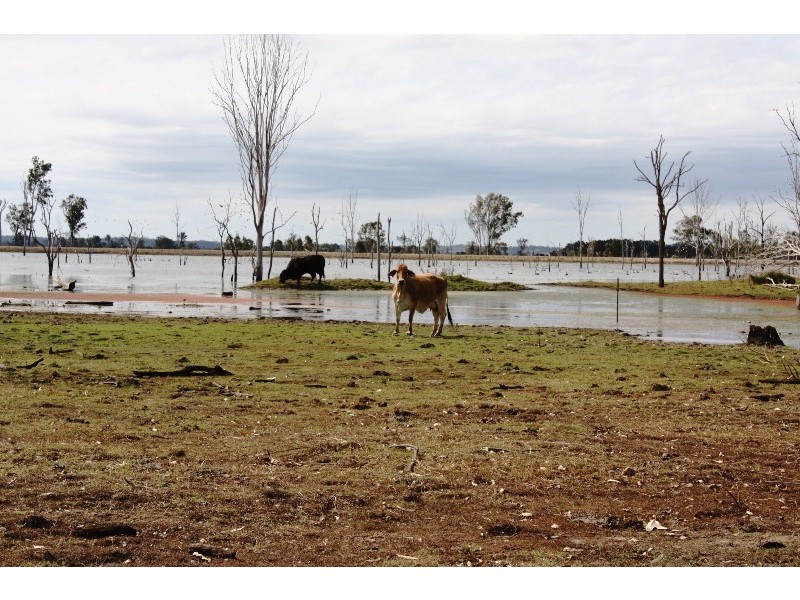 Wallaville QLD 4671
