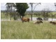 Wallaville QLD 4671
