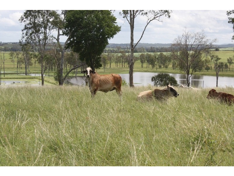 Wallaville QLD 4671
