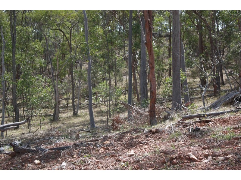 South Kolan QLD 4670