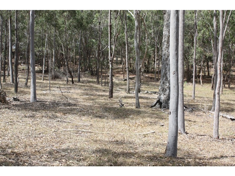 South Kolan QLD 4670