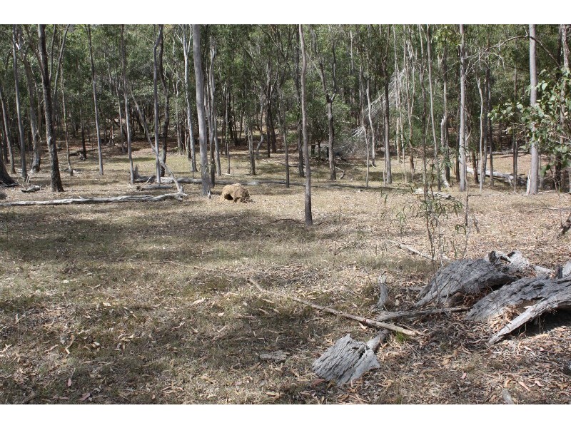 South Kolan QLD 4670