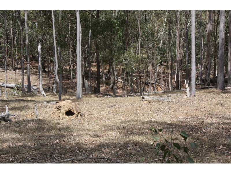 South Kolan QLD 4670