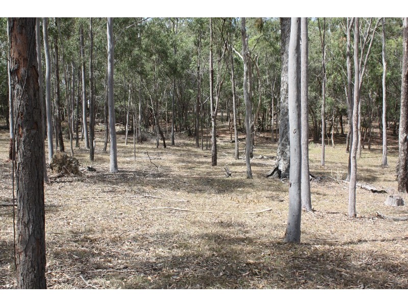 South Kolan QLD 4670