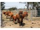 Bucca QLD 4670