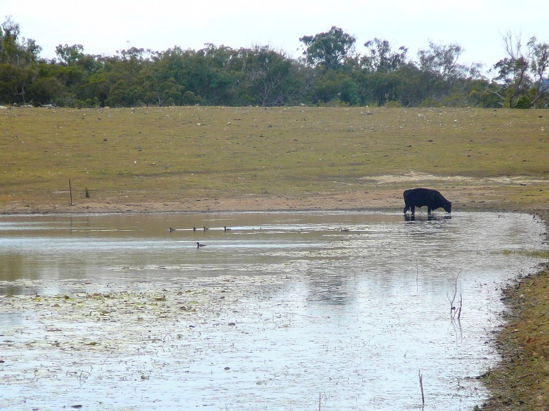 Captain Creek QLD 4677