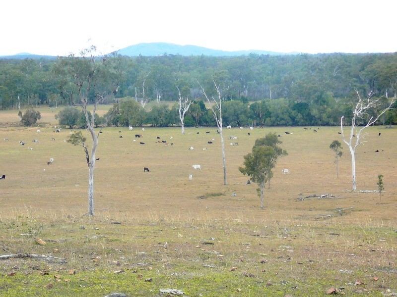 Captain Creek QLD 4677