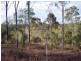 Moolboolaman QLD 4671