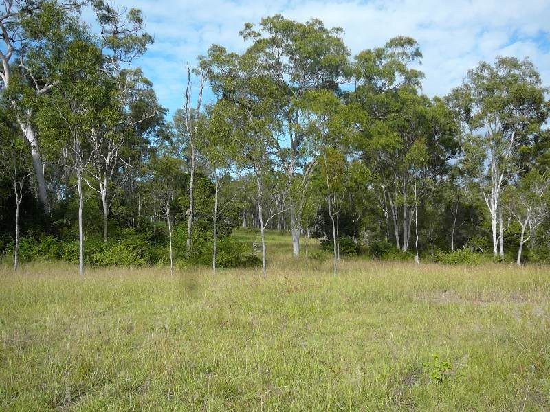 South Kolan QLD 4670