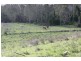Pine Creek QLD 4670