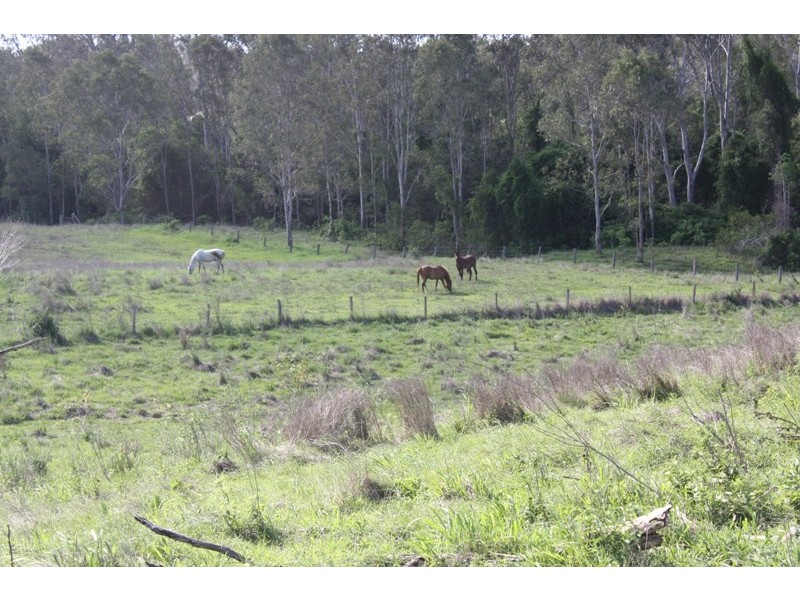 Pine Creek QLD 4670
