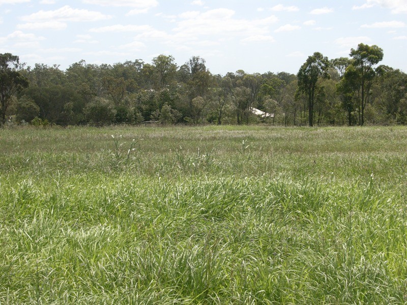 36 Mullers Rd, Redridge QLD 4660