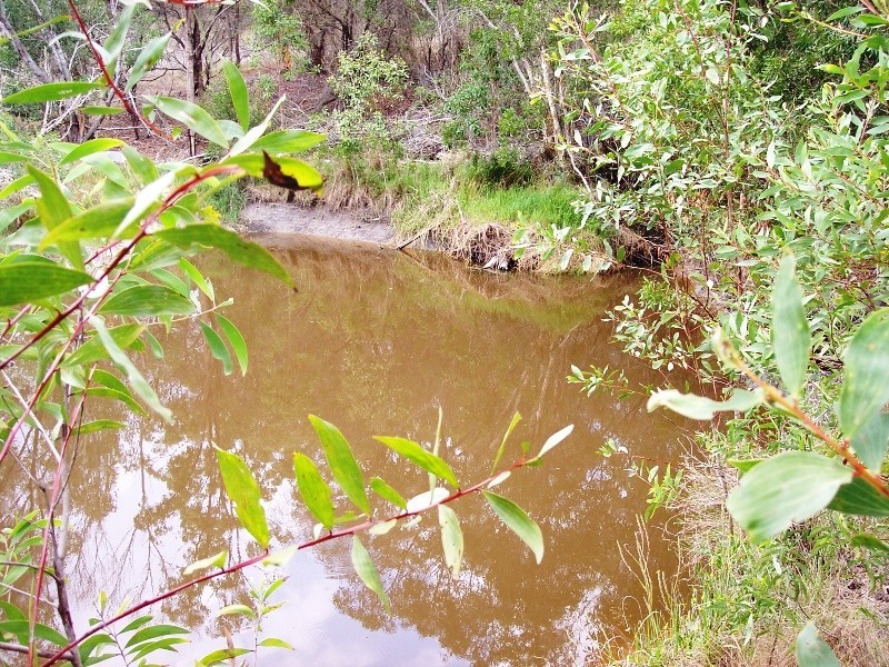 South Bingera QLD 4670