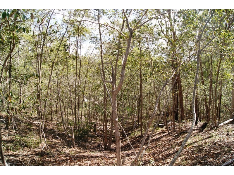 South Bingera QLD 4670