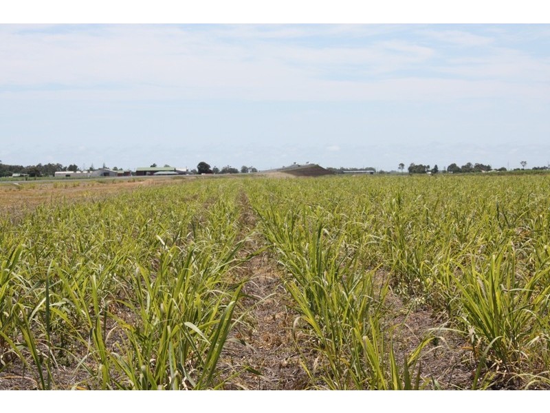Bundaberg QLD 4670