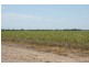 Bundaberg QLD 4670