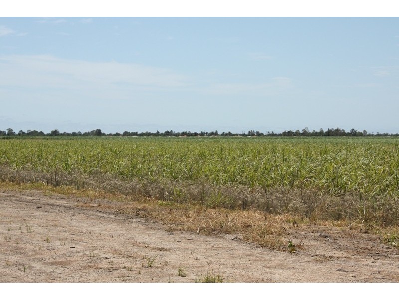 Bundaberg QLD 4670