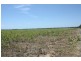 Bundaberg QLD 4670
