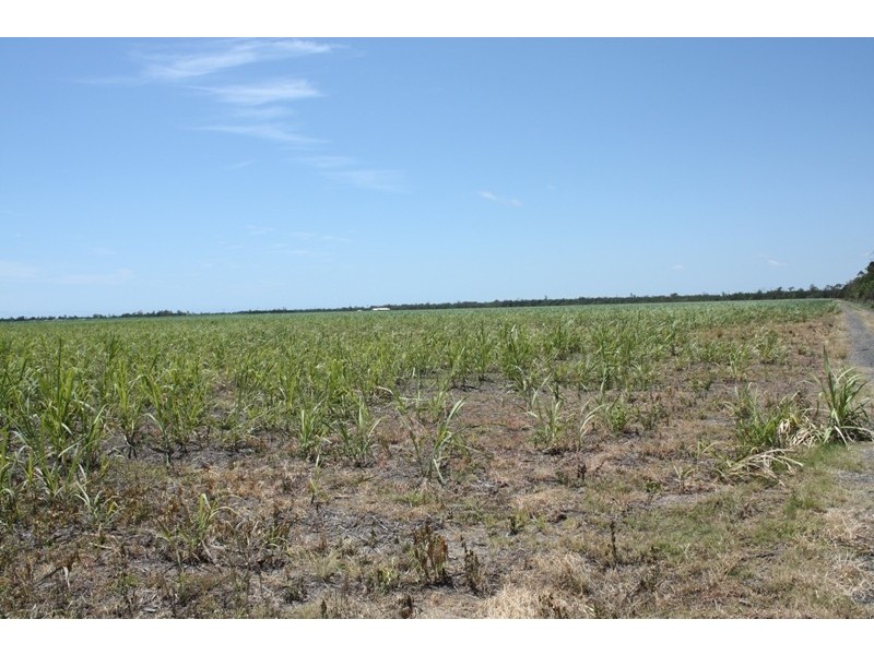 Bundaberg QLD 4670