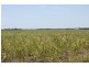 Bundaberg QLD 4670