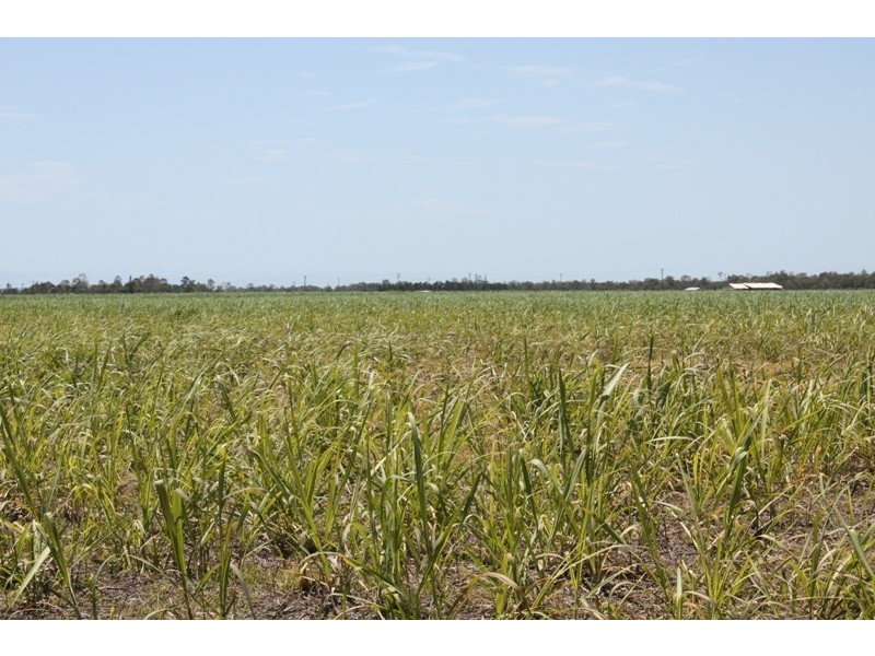 Bundaberg QLD 4670