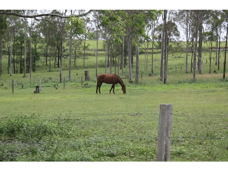 South Kolan QLD 4670