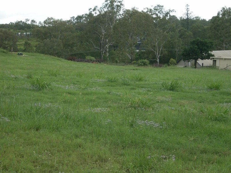 Apple Tree Creek QLD 4660