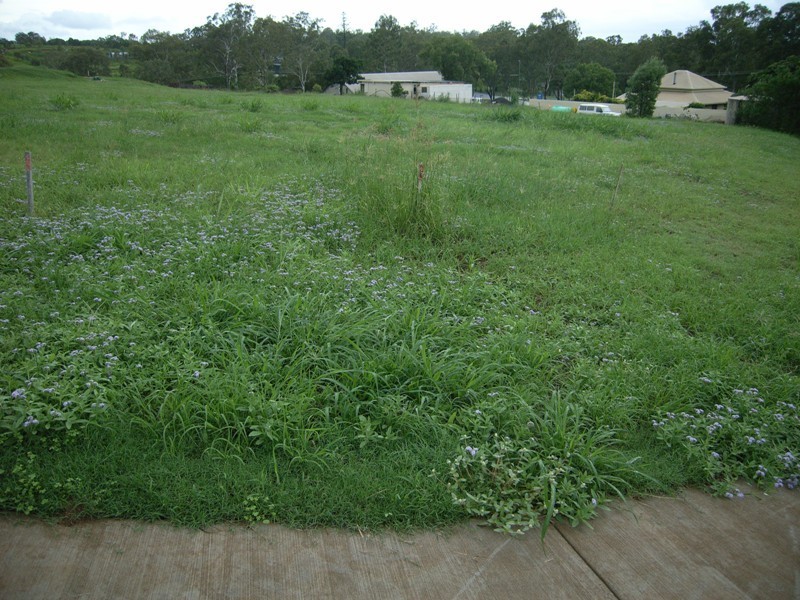 Apple Tree Creek QLD 4660