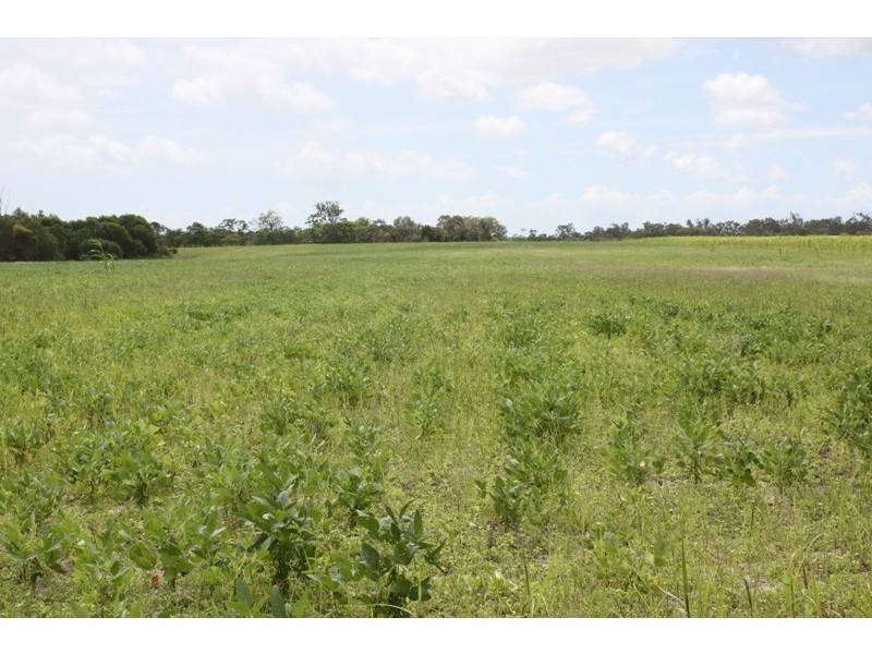 South Kolan QLD 4670