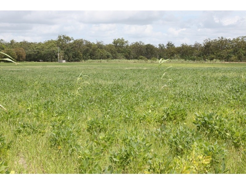 South Kolan QLD 4670