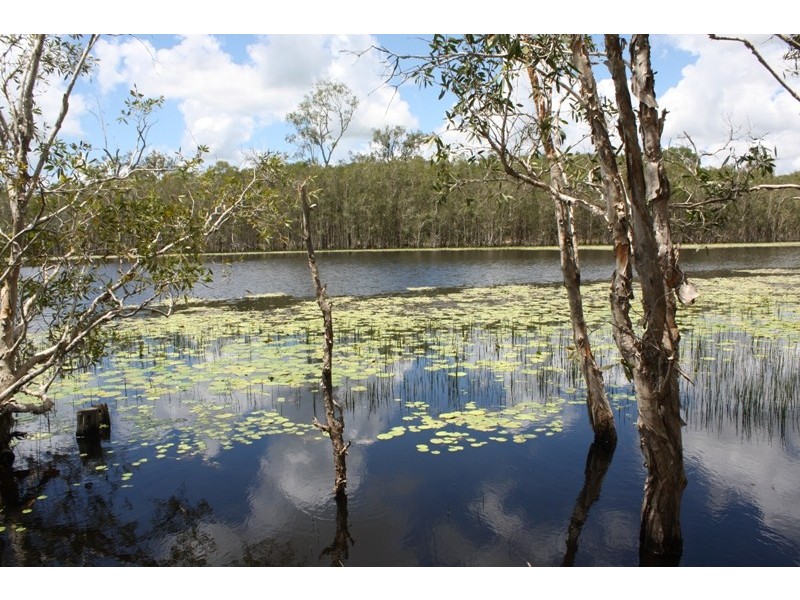 South Kolan QLD 4670