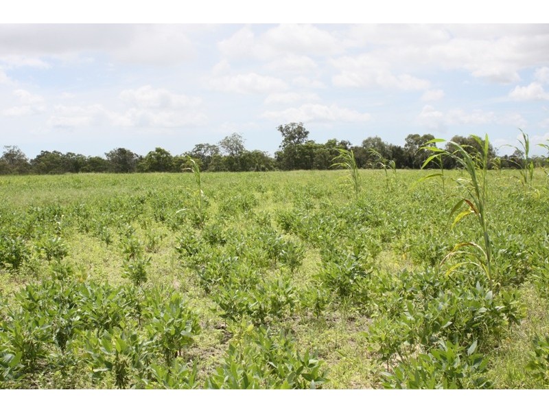 South Kolan QLD 4670