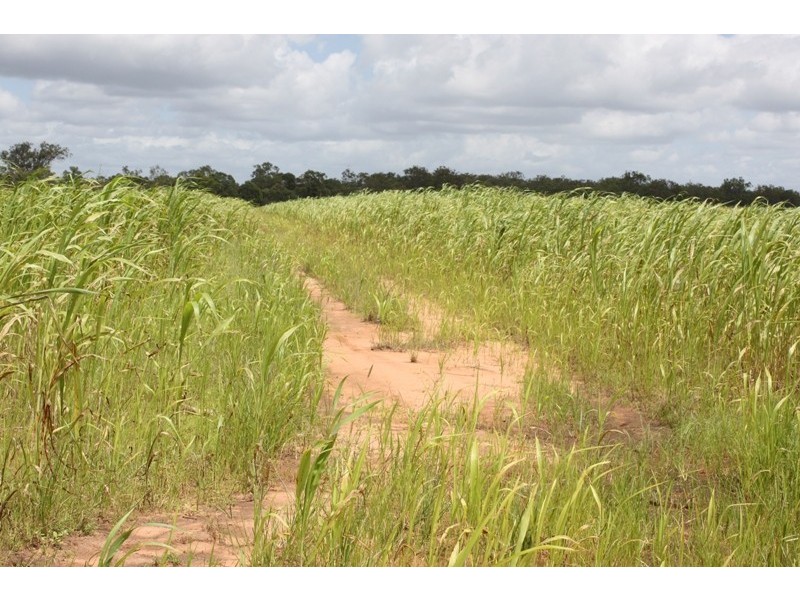 South Kolan QLD 4670