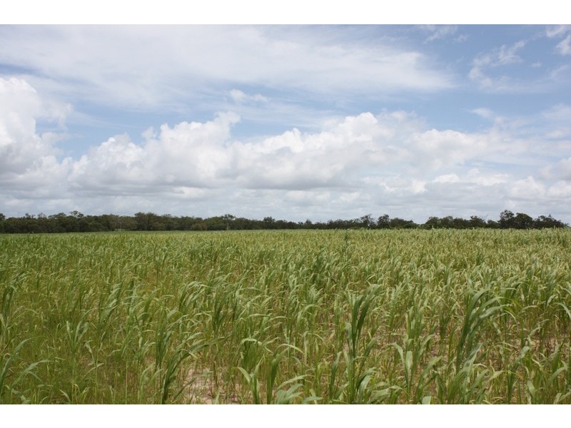 South Kolan QLD 4670