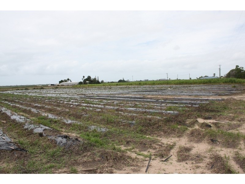 Moore Park Beach QLD 4670