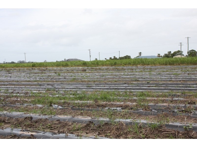 Moore Park Beach QLD 4670