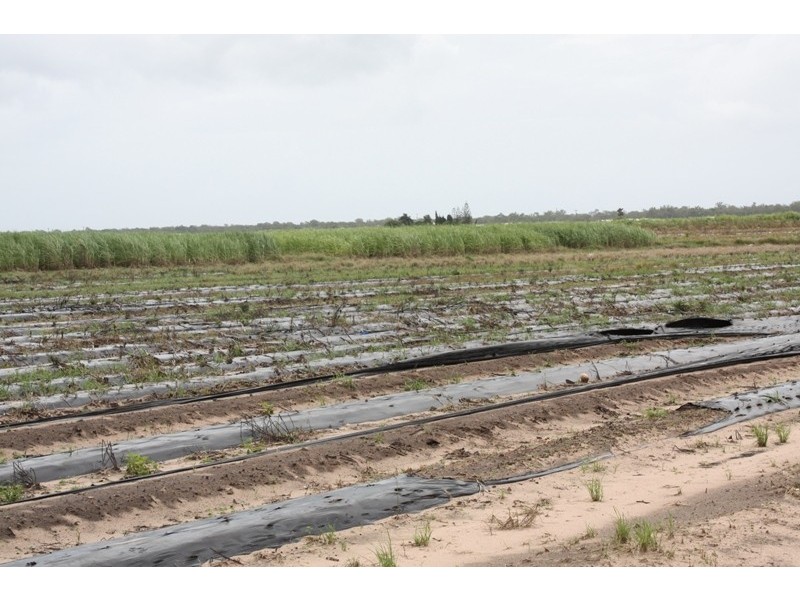 Moore Park Beach QLD 4670