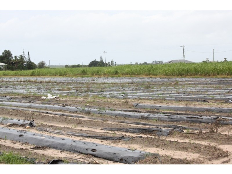 Moore Park Beach QLD 4670