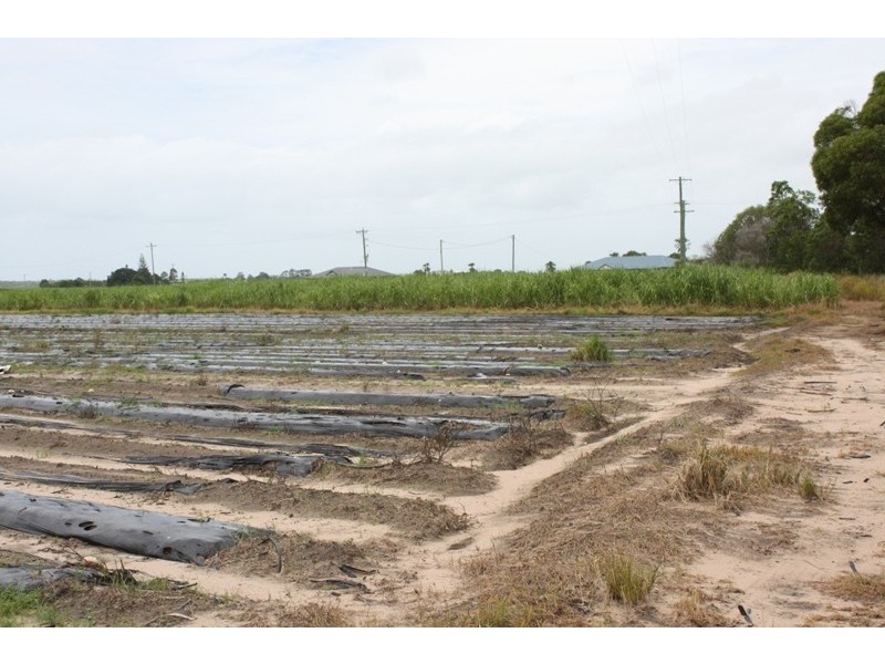 Moore Park Beach QLD 4670