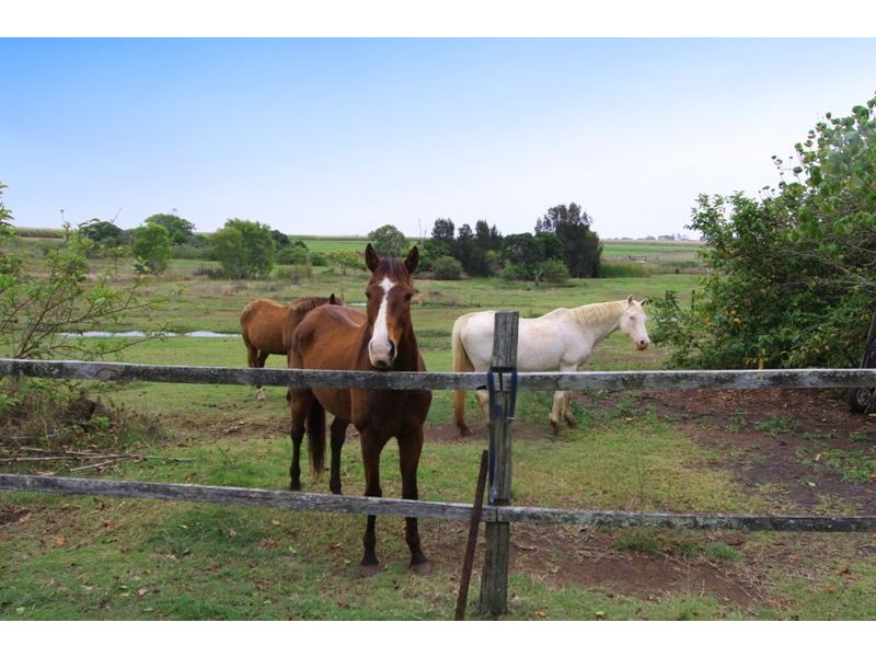 78 SEAVIEW ROAD, Bargara QLD 4670