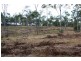 Rosedale QLD 4674