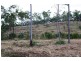 Rosedale QLD 4674