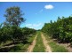 North Isis QLD 4660
