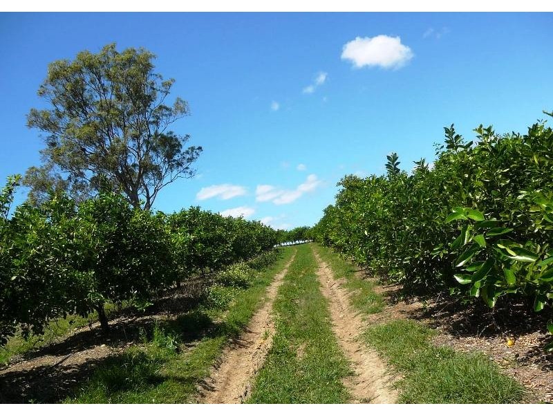 North Isis QLD 4660