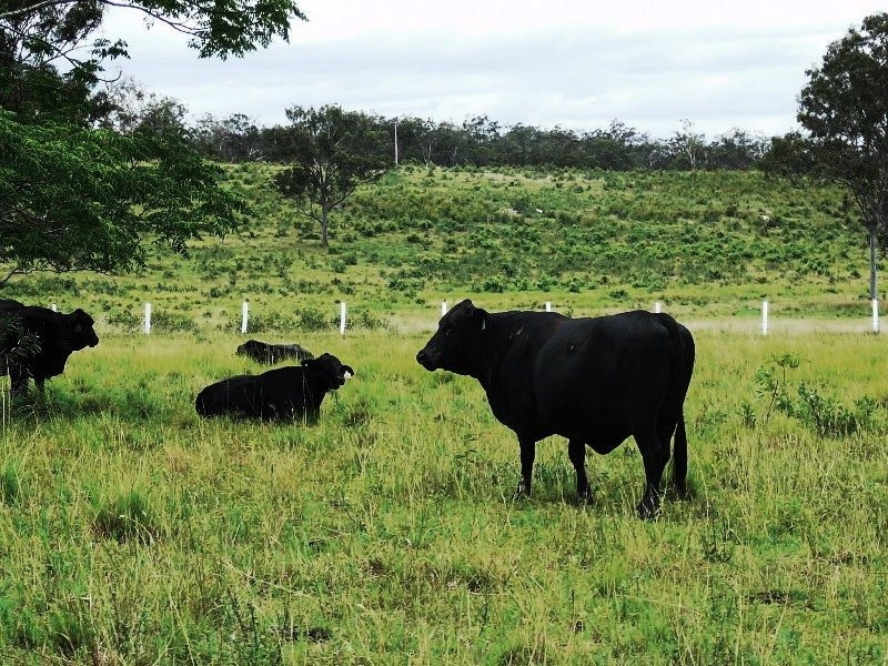 Oyster Creek QLD 4674