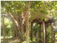 Bundaberg North QLD 4670
