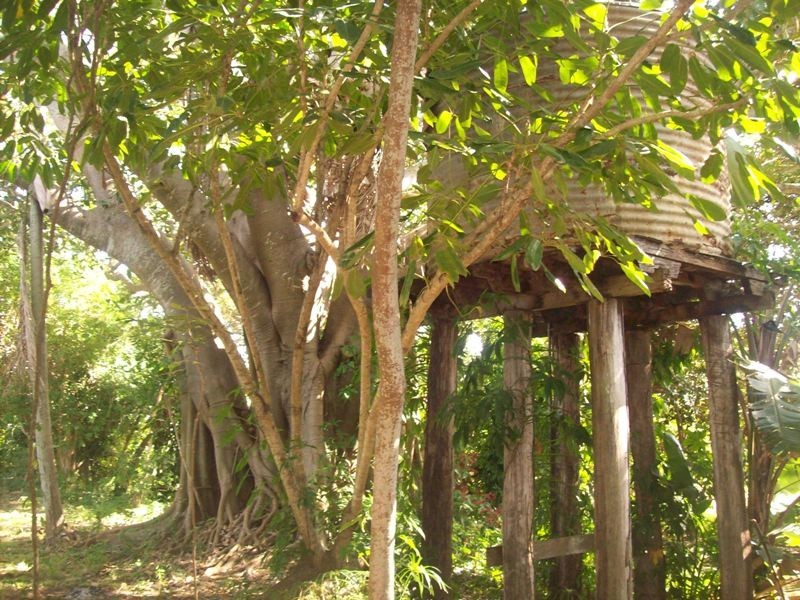 Bundaberg North QLD 4670