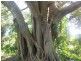 Bundaberg North QLD 4670