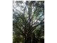 Bundaberg North QLD 4670