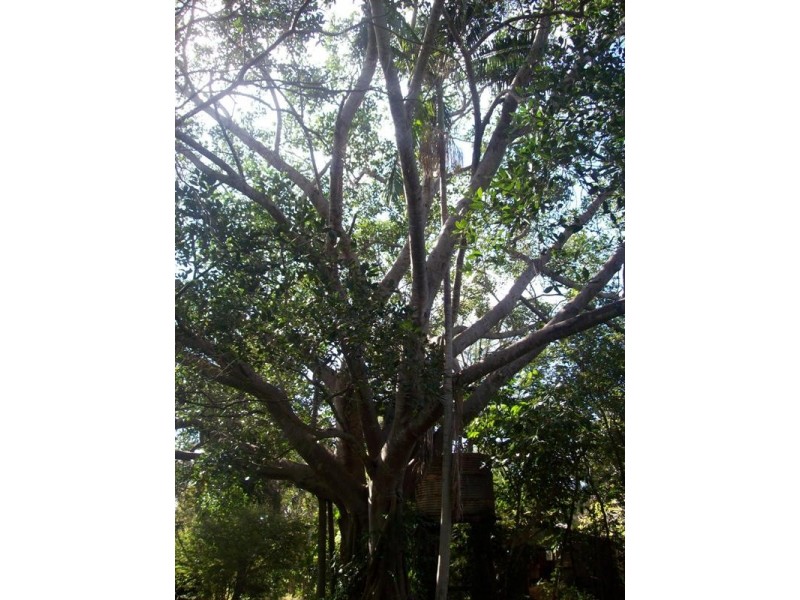 Bundaberg North QLD 4670